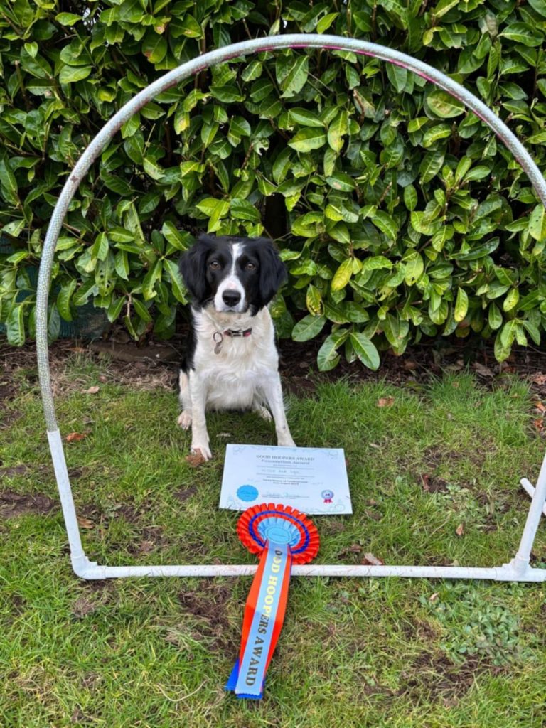 ffd76ab7-0d1f-43a7-8c69-35f07c043515